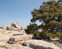 KingsCanyon_BuenaVistaTrail-8