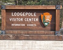 Sequoia_GiantForest-1