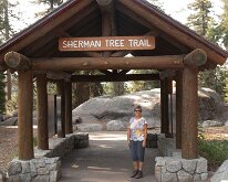 Sequoia_GiantForest-2