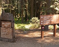 Sequoia_GiantForest-26