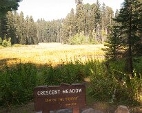 Sequoia_GiantForest-27