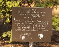 Sequoia_GiantForest-3