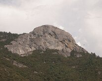 Sequoia_GiantForest-30