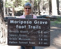 Yosemite_MariposaGrove-2