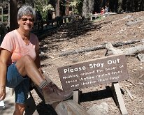 Yosemite_MariposaGrove-6