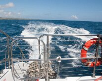 2015_Hawaii_CaptAndy-02