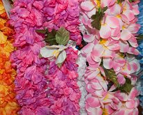 2015_Hawaii_KauiCoffee-07