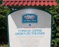 2015_Hawaii_KauiCoffee-18