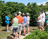 2015_Hawaii_KauiCoffee-19
