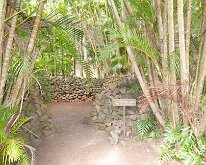 2015_Hawaii_KamokilaVillage-05