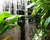 2015_Hawaii_KamokilaVillage-06