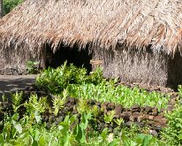 2015_Hawaii_KamokilaVillage-11