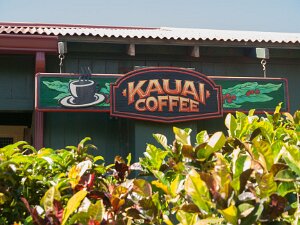 Kauai Coffee Tour