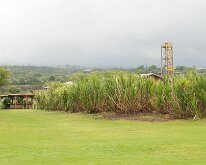 2015_Hawaii_OceanVodka-09