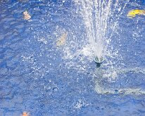 2015_Hawaii_Maui_WhalersMuseum-10