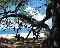 2015_Hawaii_Maui_MakenaBeach-1