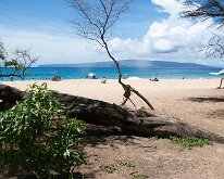2015_Hawaii_Maui_MakenaBeach-3
