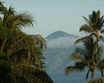 2015_Hawaii_Virgil_0011