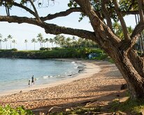 2015_Hawaii_Virgil_0012