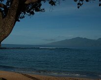 2015_Hawaii_Virgil_0013