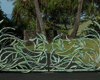 2015_Hawaii_Virgil_0015