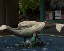 2015_Hawaii_Virgil_0019