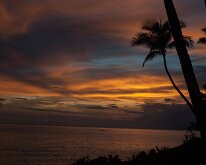 2015_Hawaii_Virgil_0024