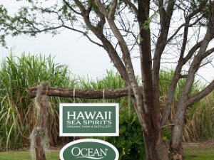 Maui Ocean Vodka