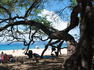 Maui