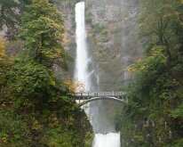 2016_MultnomahFalls-4