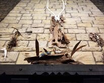 2025_BlackHawkStatePark-08