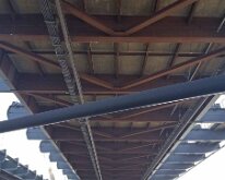 2025_CelebrationBelle_Moline-11