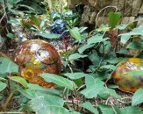 2025_QuadCityBotanicalGarden-02