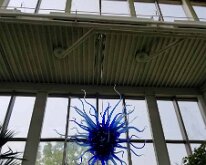 2025_QuadCityBotanicalGarden-03