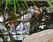 2025_QuadCityBotanicalGarden-04