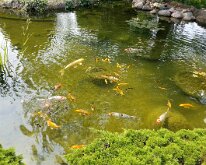 2025_QuadCityBotanicalGarden-05