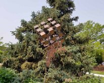 2025_QuadCityBotanicalGarden-07