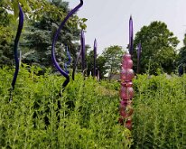 2025_QuadCityBotanicalGarden-10