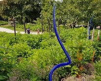 2025_QuadCityBotanicalGarden-14