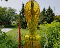 2025_QuadCityBotanicalGarden-15