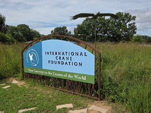 International Crane Foundation