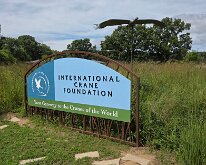 2026_InternatCraneFoundation-01-1