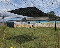 2026_InternatCraneFoundation-04-1