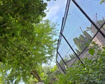 2026_OschnerParkZoo-05