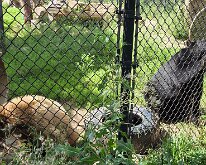 2026_OschnerParkZoo-07
