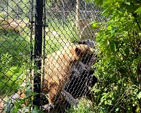 2026_OschnerParkZoo-08