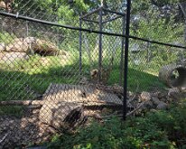 2026_OschnerParkZoo-11