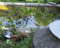 2026_OschnerParkZoo-12
