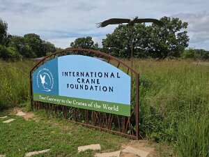 International Crane Foundation