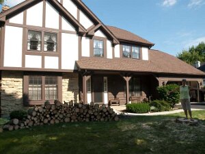 2011 - Tree Lightning